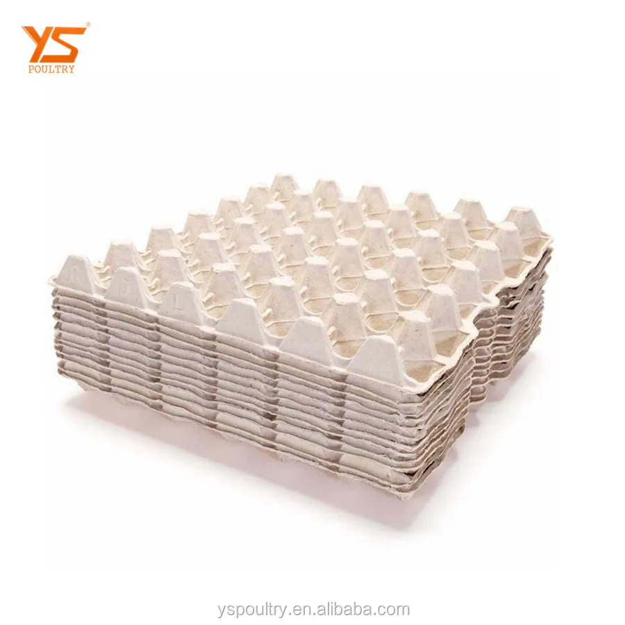 
Breeder Egg Tray Manufacturer Recycled Pulp Molded Egg Tray 