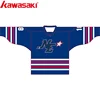 Cheap Price Full Sublimation Special Custom Made Design Ice Hockey Jersey