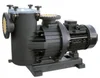 ES Series Commercial Pump