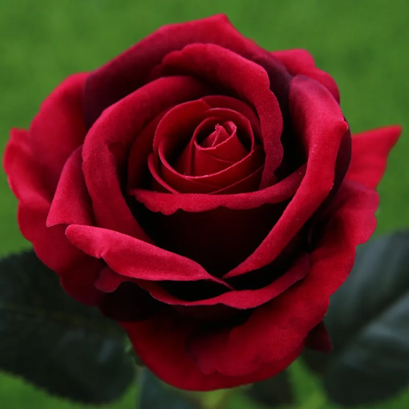 High Quality 50cm Velvet Artificial Rose Flowers For Wedding Decoration