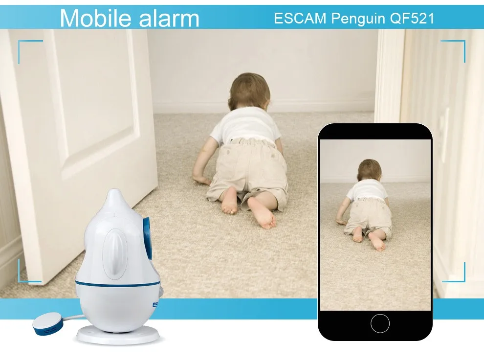 NetWork Technology and IP Camera Type P2P IP Webcam ESCAM QF521