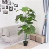 real touch wild taro leaf artificial plant for home decoration