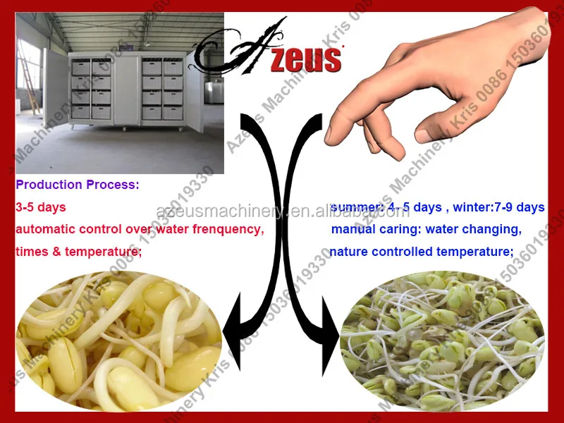 mung bean sprouts vs soy bean sprouts