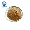 Factory Supply Soap Nuts Extract Sapindus Mukorossi Extract