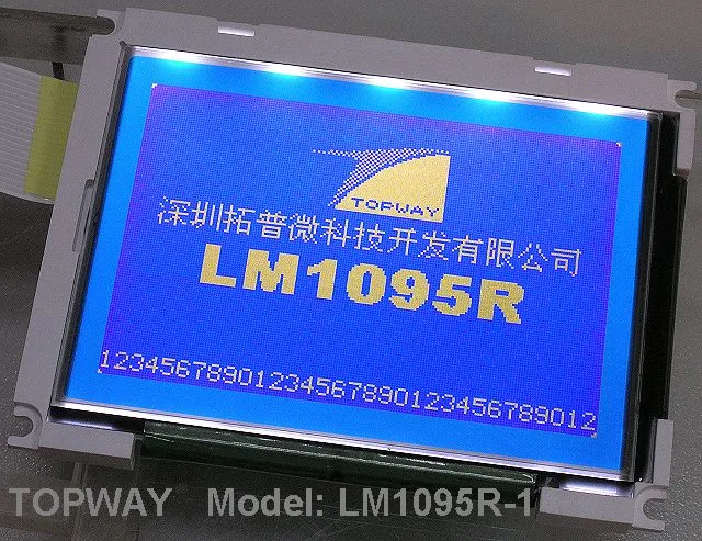 LM1095R-1 (BL ON) (640).jpg