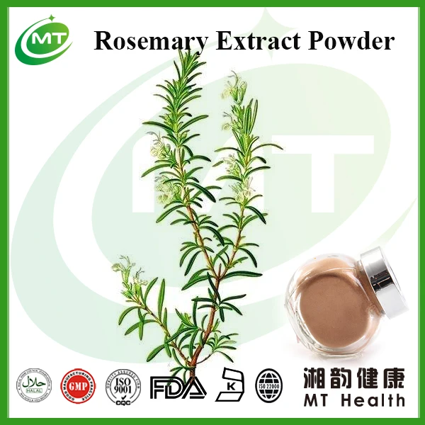 Herbal Extract For Cosmetics Rosemary Extract Ursolic Acid Rosemary