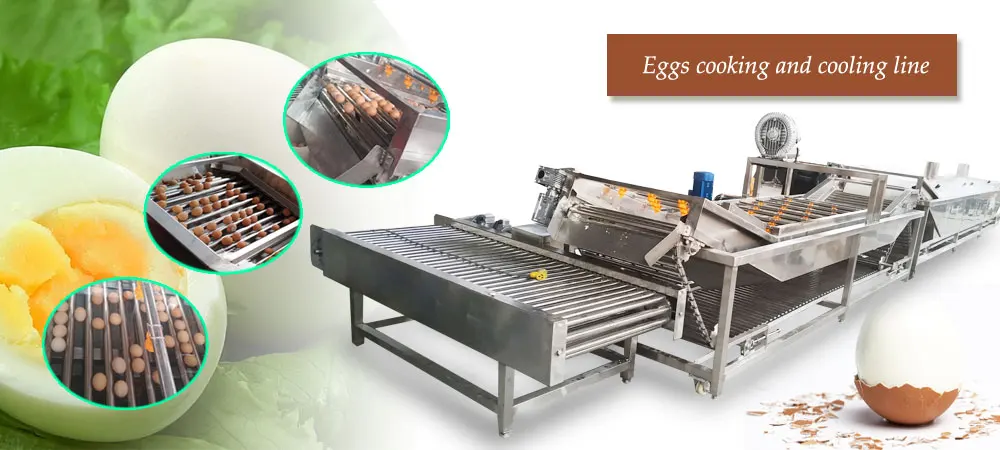 industrial egg cooker