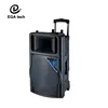 Fast selling 15'' FM Radio Wireless Blue tooth multimedia speaker with mic input/trolley speakers