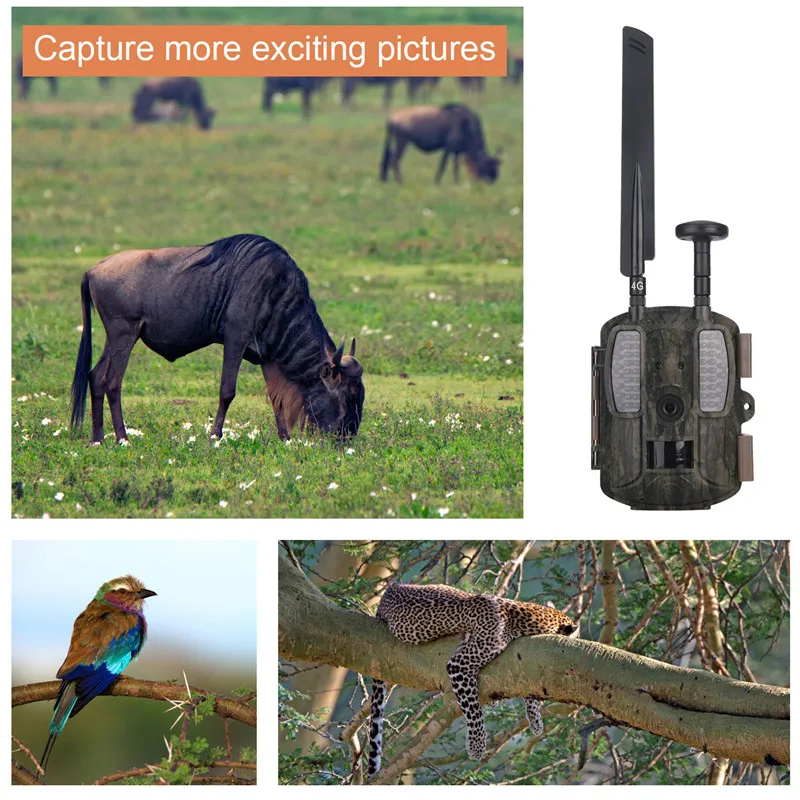 4G GPS Hunting Camera (23).jpg
