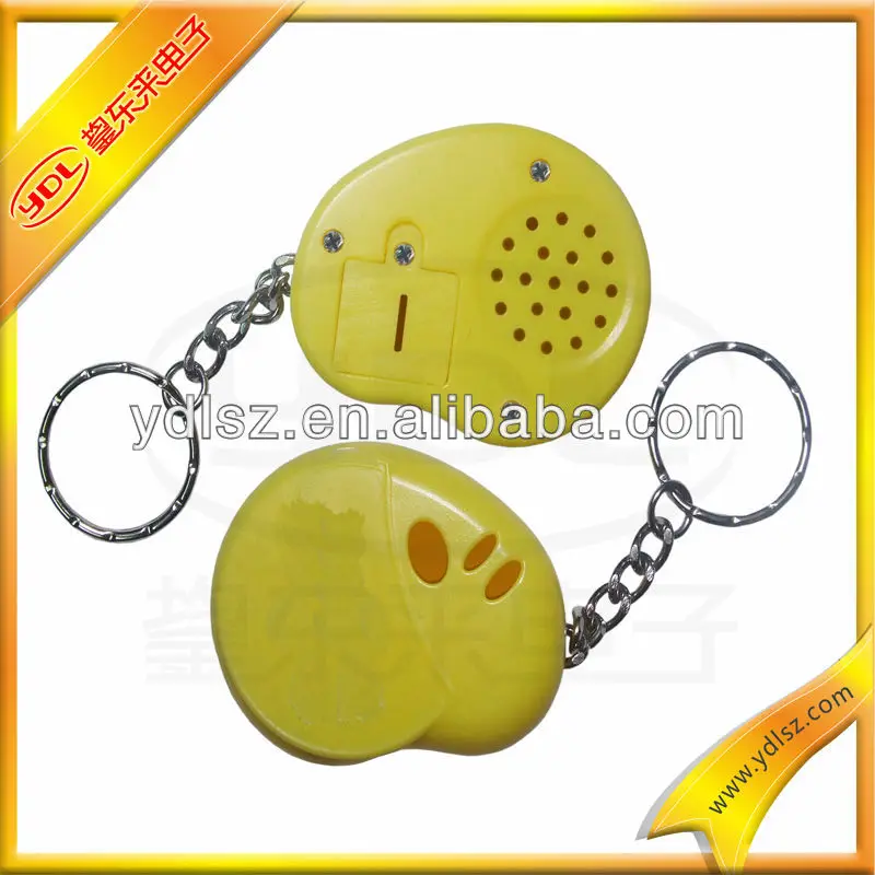 In Your Pocket Talking/sound/voice Keychain Buy Talking Keychain With