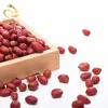 Nutritious Red Skin Peanut China Origin Red Skin Peanut Top Grade Peanuts