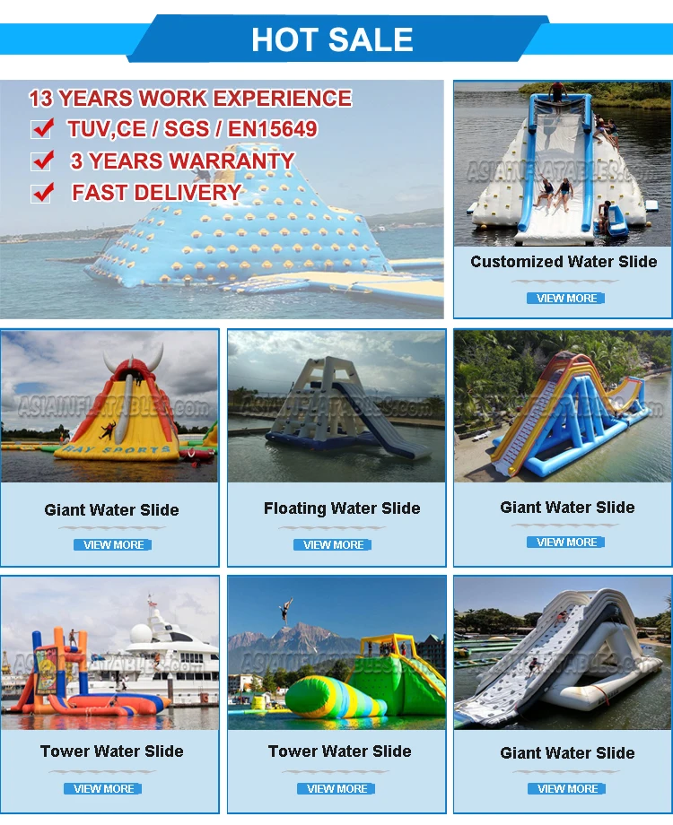 Giant Dolphin Inflatable Swimming Pool Slide/floating Water Park Slide