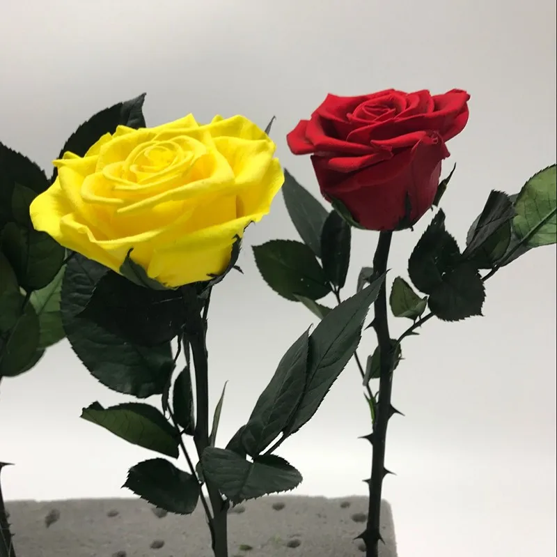 Wholesale Preserved Flower Real Stabilized Roses Beautiful Preserved