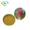 100% pure Natural Corn Silk extract Corn Stigma extract/Corn Silk p.e