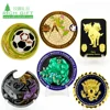 Custom metal navy security forces 3d raised logo american eagle gold souvenir masonic football challenge coin for collecting