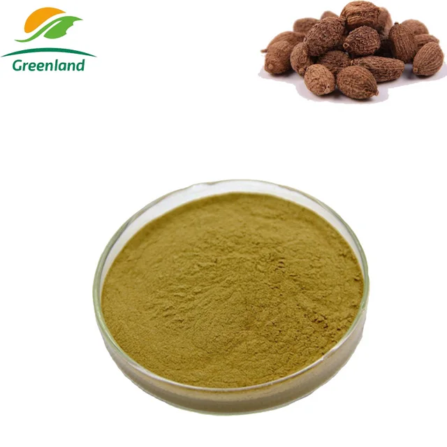 herbal fructus amomi amomum villosum cardamom extract powder