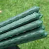 /product-detail/plant-stick-for-garden-climbers-60481836551.html