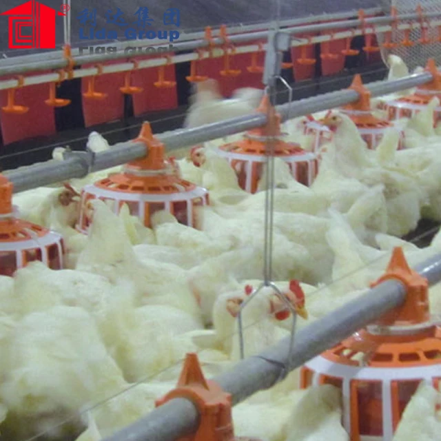 prefabricated  poultry slaughter house layer egg chicken cage/poultry farm shed house design