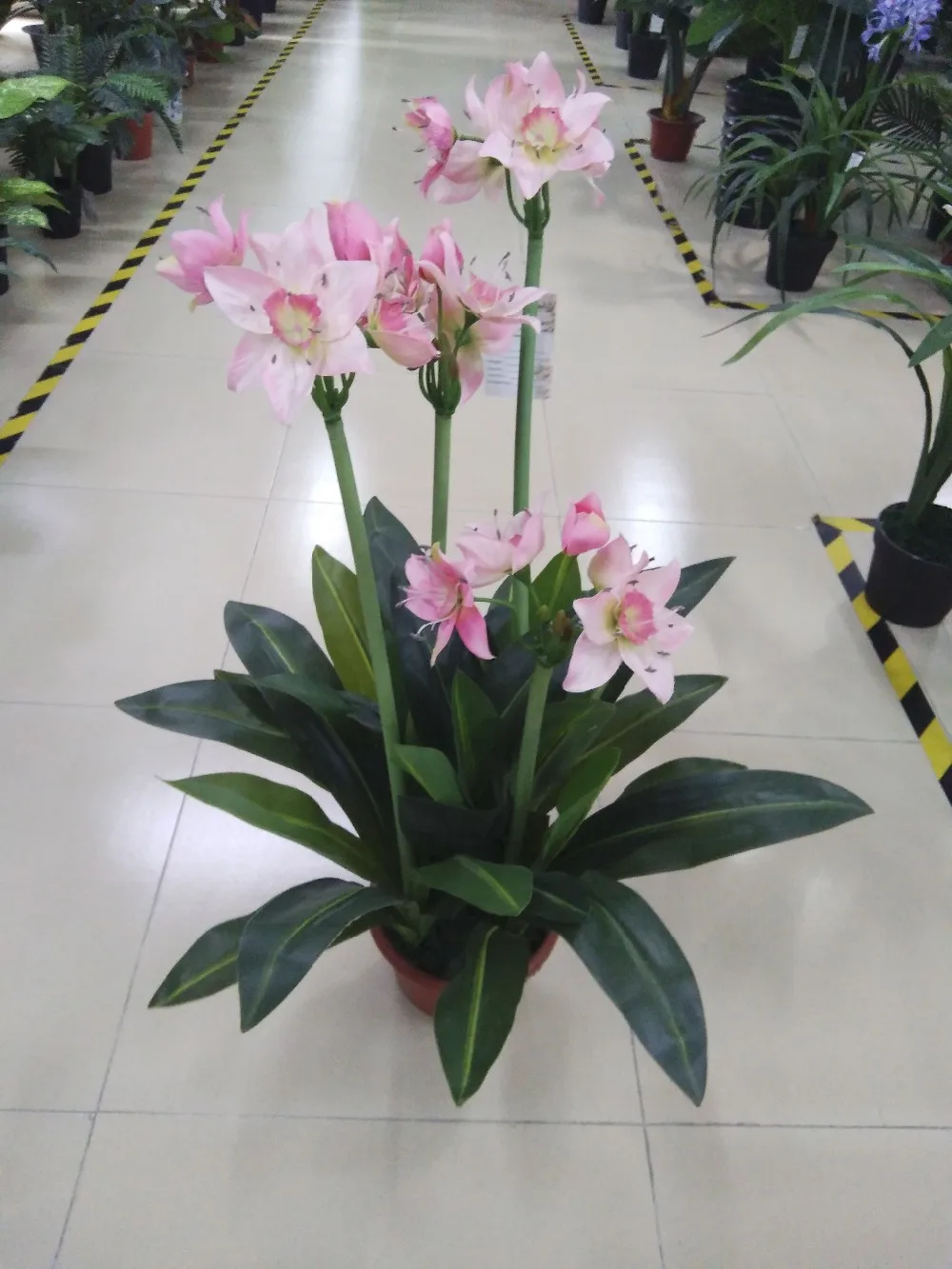 Pequena Fabrica Pe Facil De Cuidar De Plantas Bonsai Flor Artificial Plantas Artificiais Falso Verde Para O Uso Do Hotel Buy Pequena Fabrica Pe Facil Cuidar Flor Artificial Plantas Artificiais Falso