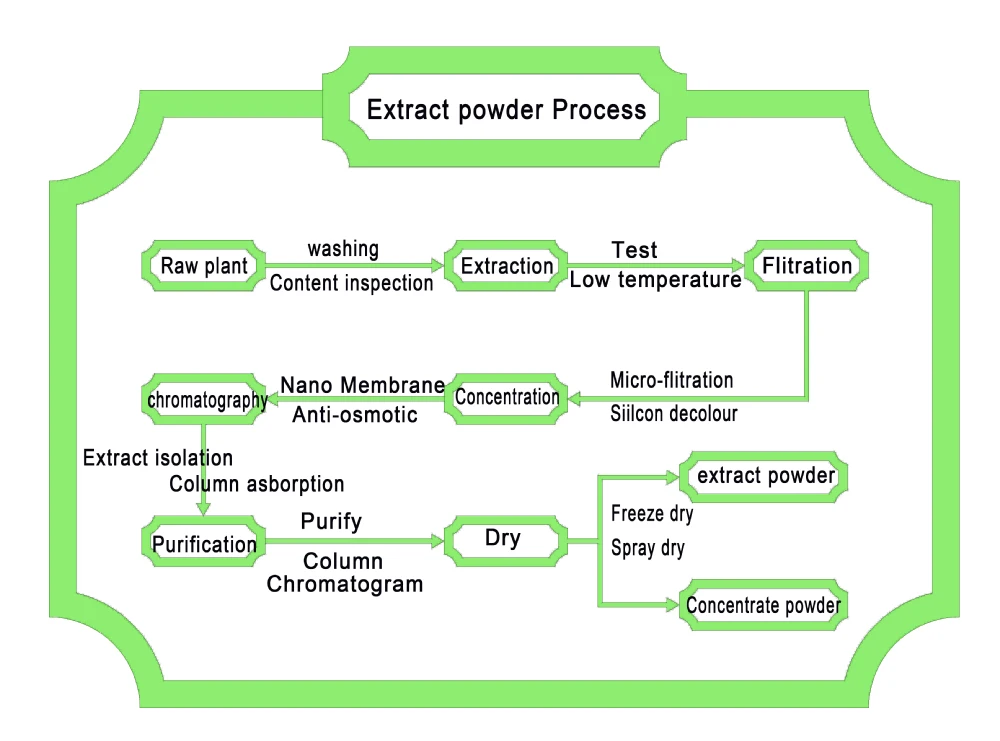 Process washing