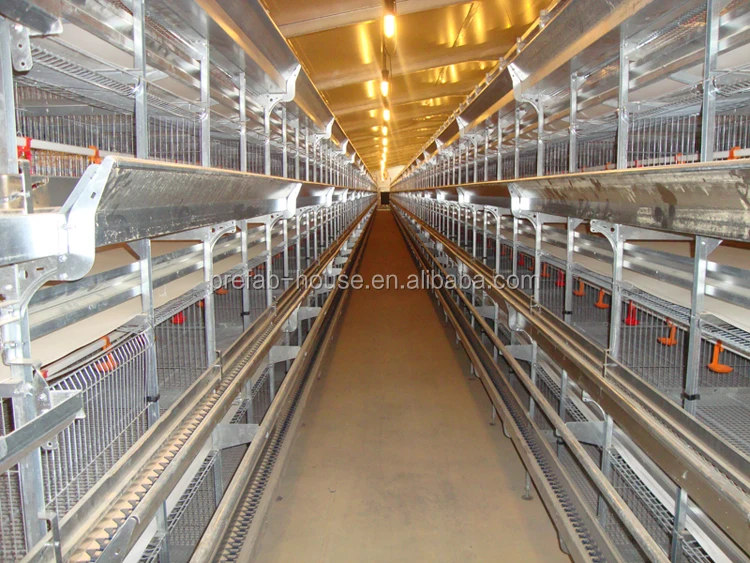 CE EN 1090 certificate galvanized frame poultry farm project proposal pdf goat farm design cattle shed