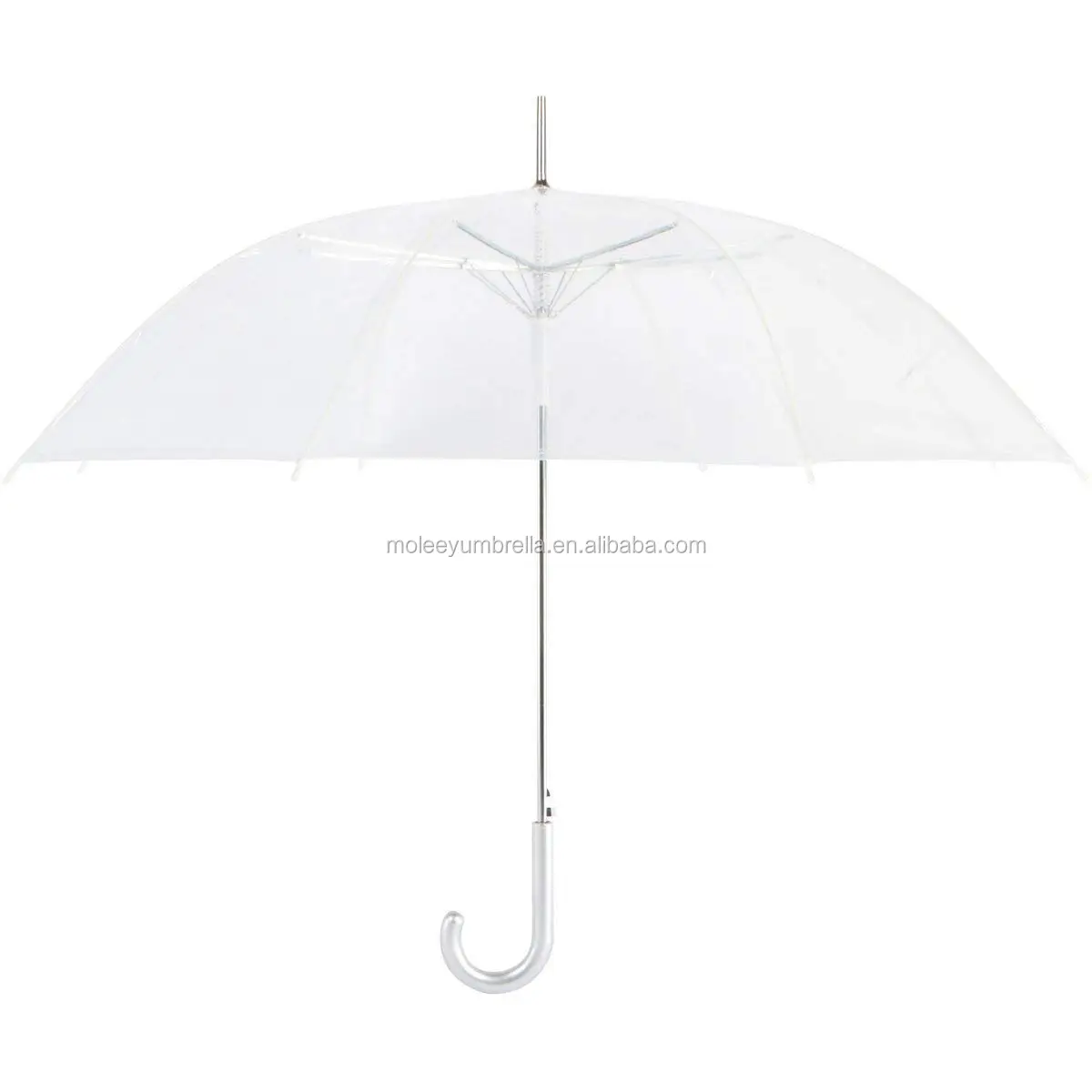 transparent umbrella (1).jpg