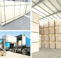 product-245-234
