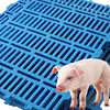 /product-detail/factory-direct-sale-farm-equipment-goat-poultry-pp-pig-plastic-slat-flooring-for-sale-60725848900.html