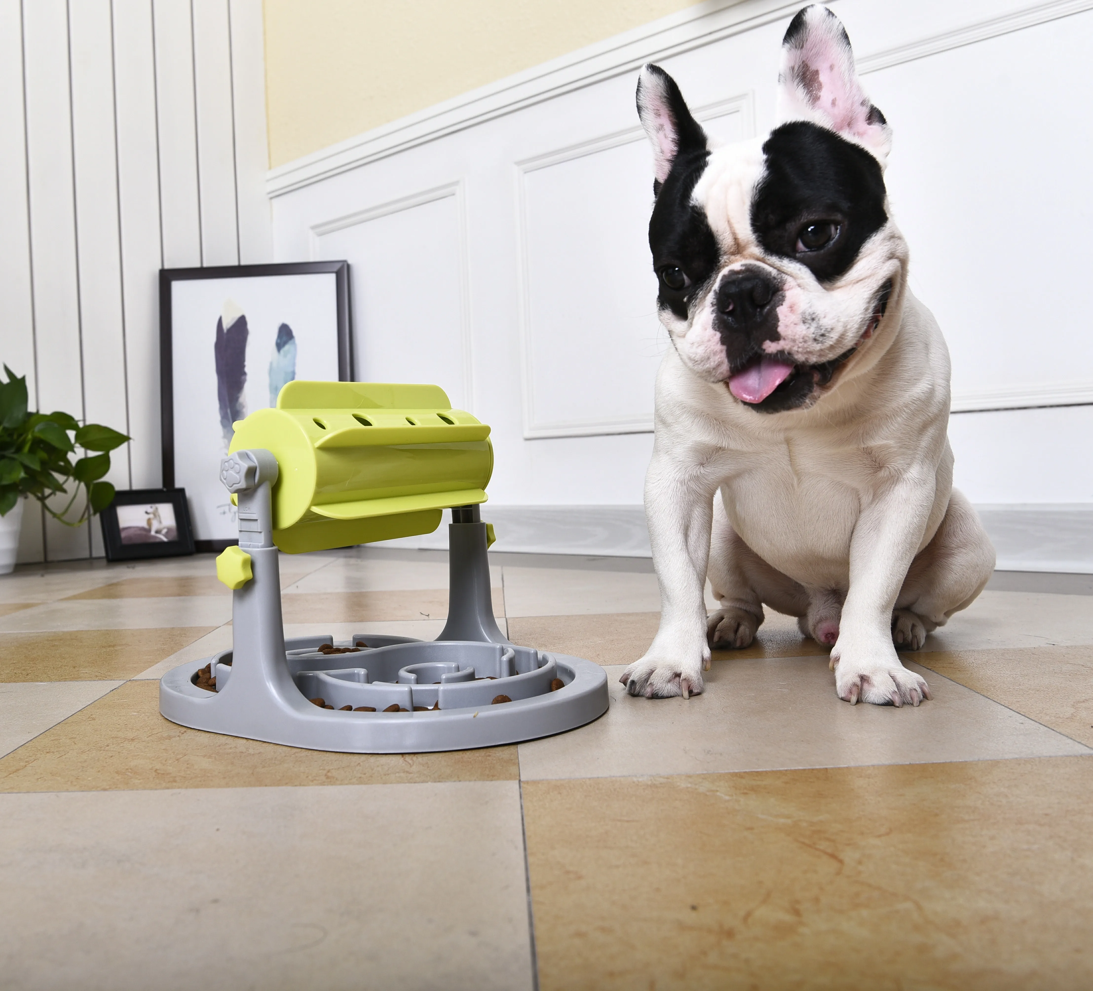 adjustable dog feeder