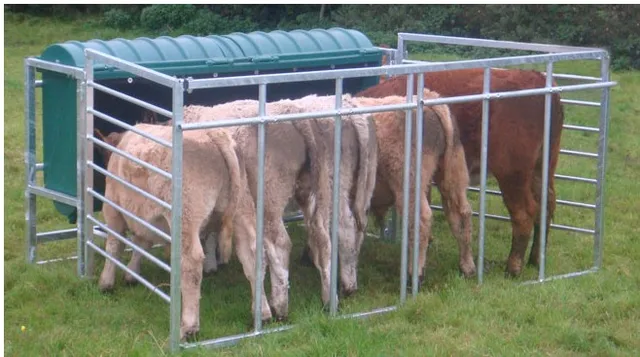 Calf Creep Feeders Buy Calf Creep Feeders Plastic Calf Creep