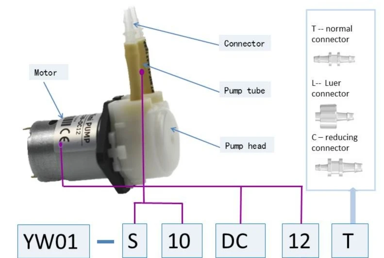 YW01 introduction_.jpg