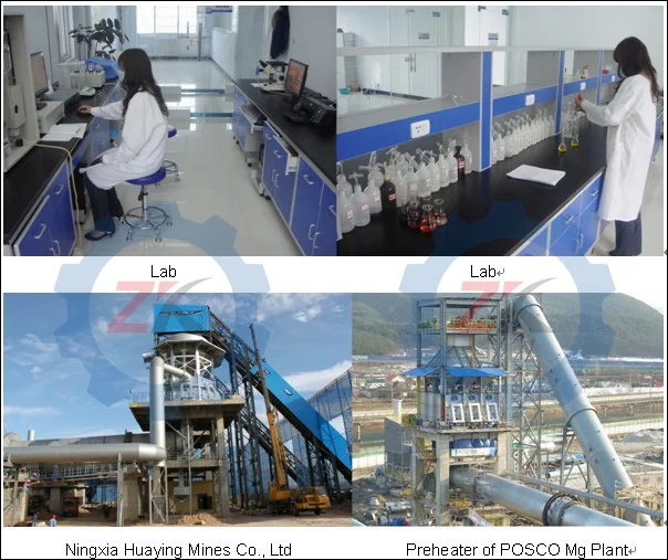 Lab.jpg