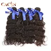 New hair product 100% virgin raw brazilian hair us,expression weave human virgin water wave brazilian hair