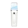 Factory supply USB rechargeable skin care beauty mini face steamer nano mister spray with face moisture analyzer nano sprayer