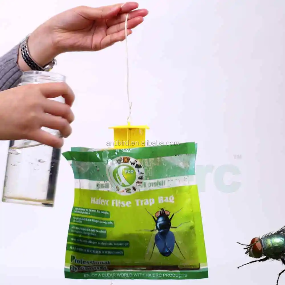 View House Fly Trap Diy Background