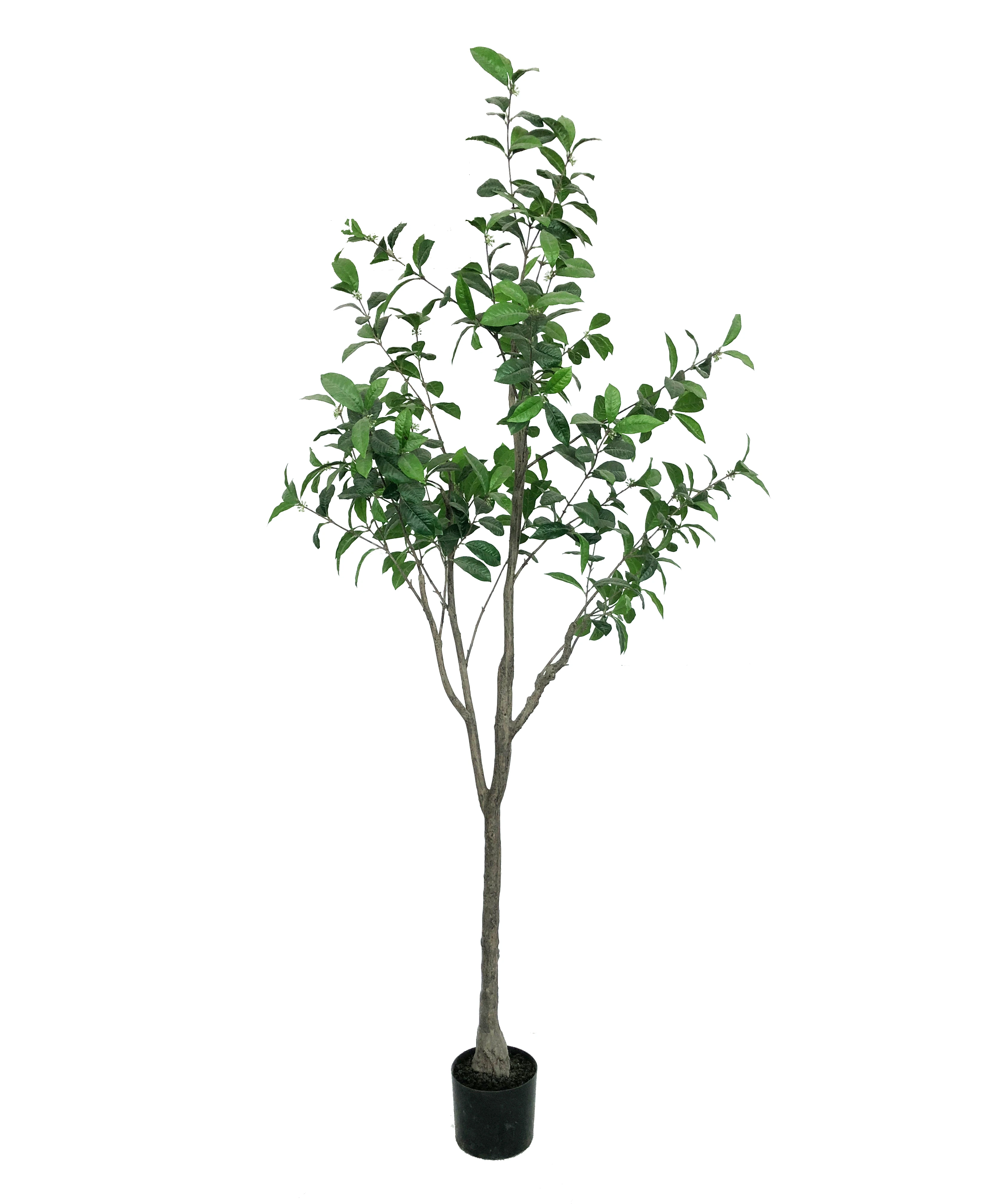 Wholesale Artificial Magnolia Flowering Tree For Indoor And Outdoor Decoration Buy Flowering