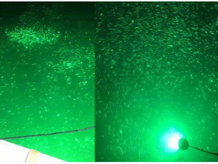 fishing light (6)