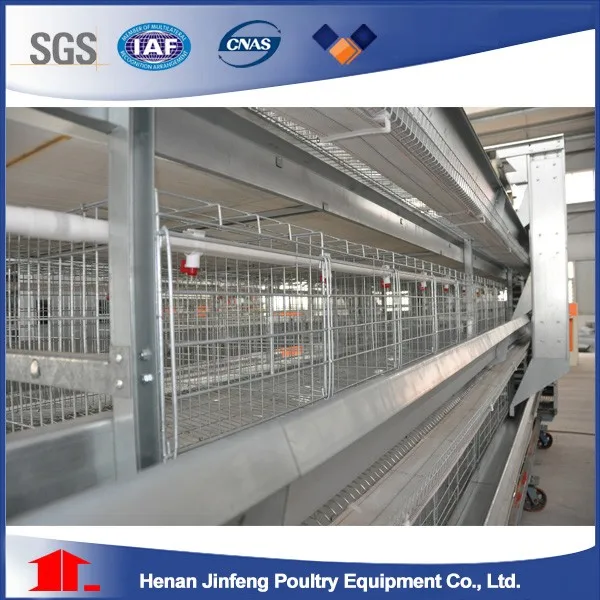 Automatic Feeding System.jpg