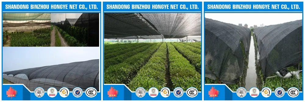 sun shade netting for agriculture