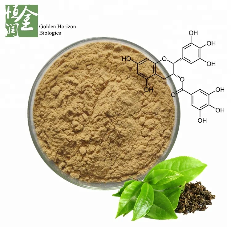 Factory Supply Wild Chrysanthemum Flower Extract /chrysanthemum Indicum