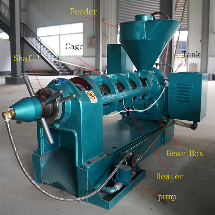 Gt12l Automatic Candlenut Oil Presser Oil Extraction Machine Buy