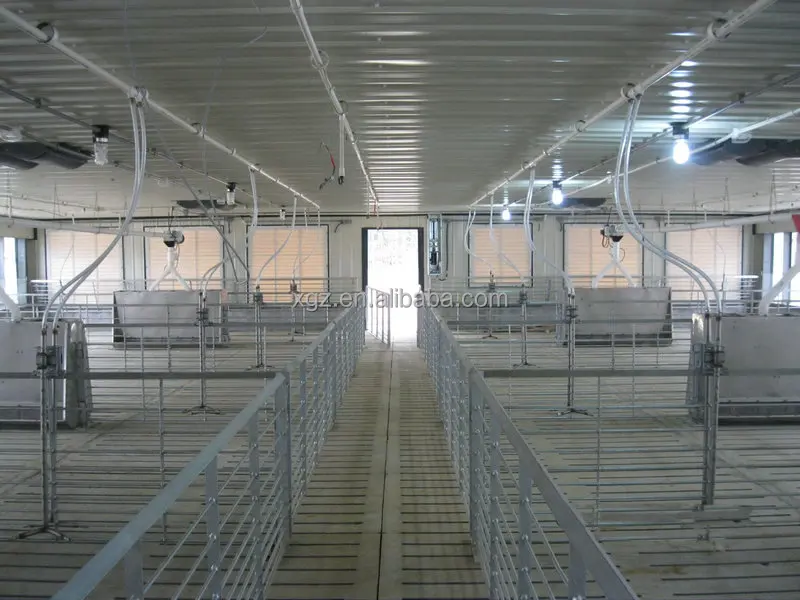 Prefab Full Control Automated Piggery Housing - Buy 