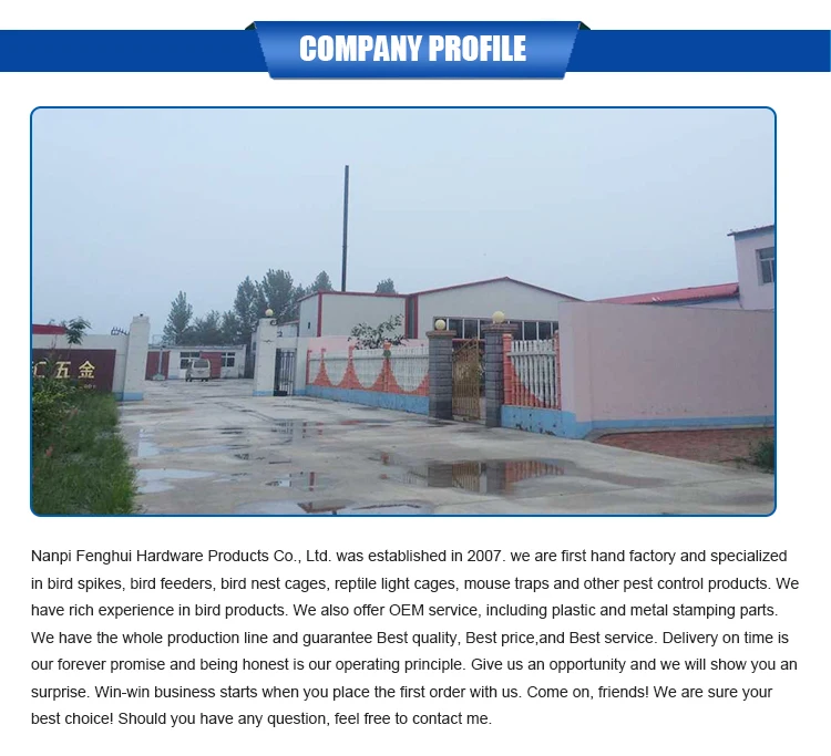 pest control stainless steel bird spikes