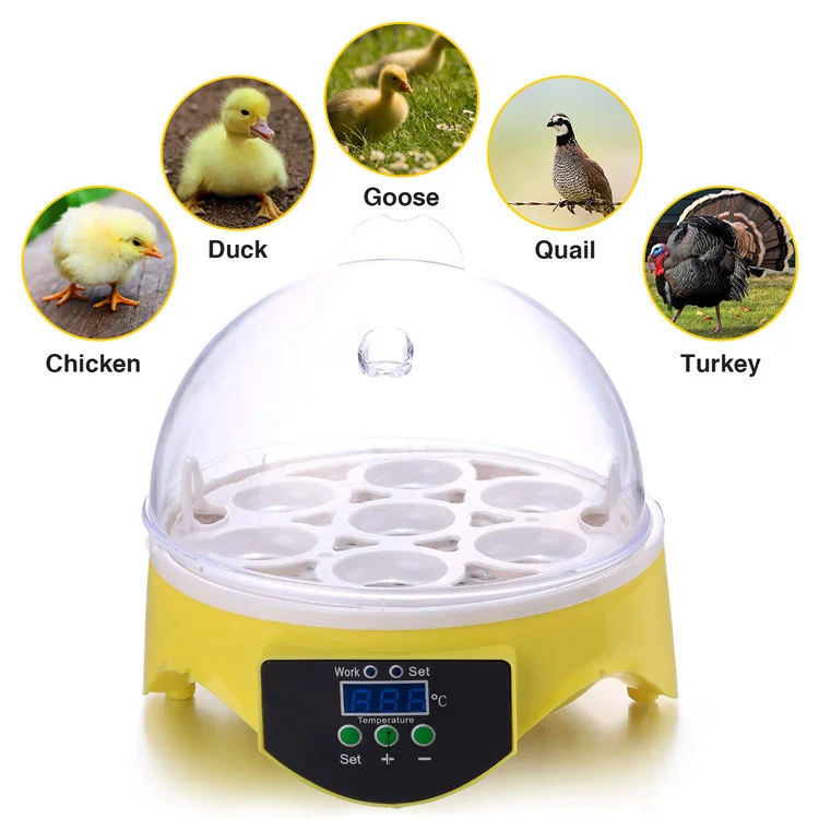 Automatic Love Birds Egg Incubator Cheap Finch Egg Incubator For Sale ...