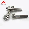 gr5 titanium adjustable bolt m6 m8 m10 threaded with flange