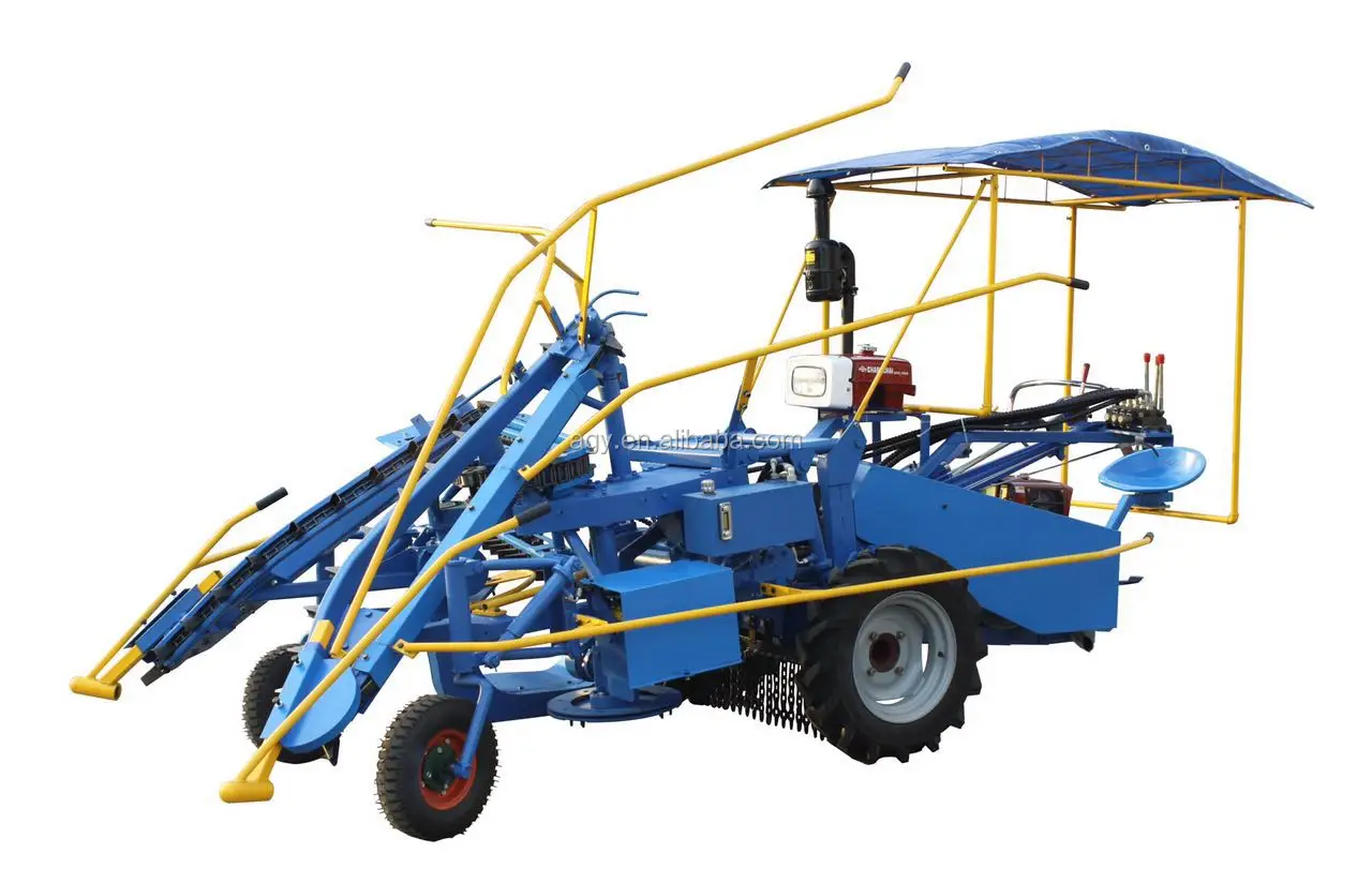 Agy Sugarcane Harvester Small Agriculture Equipment Sugar Cane Cutting
