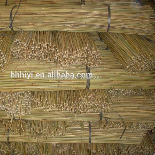 dry natural raw bamboo poles for garden planting vegetables
