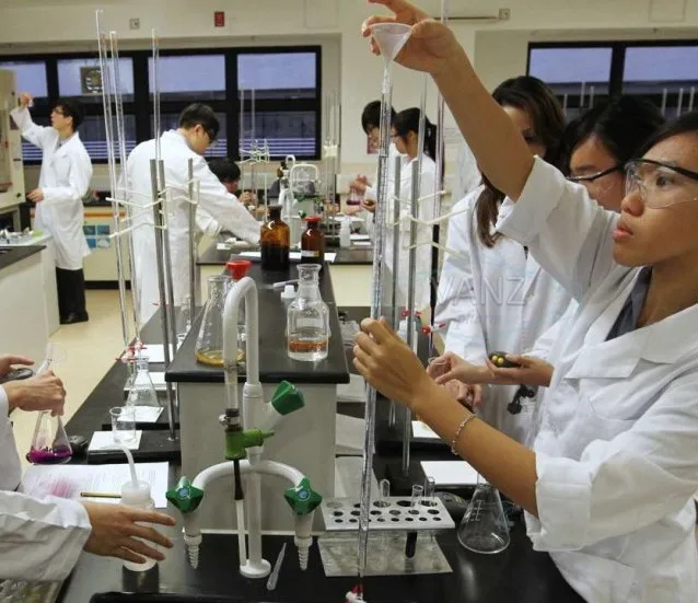 100% natural pancreatic enzymes / pancreatin