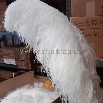 white ostrich feathers for sale wholesale