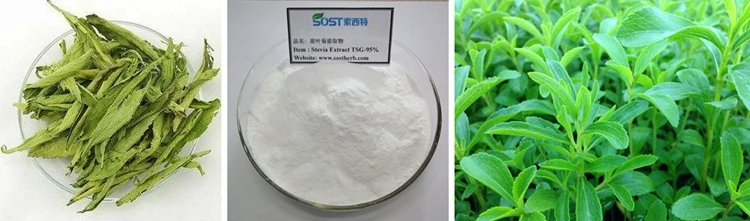 Wholesale Organic Stevia Leaf Extract.jpg